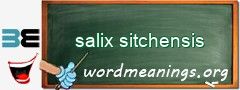 WordMeaning blackboard for salix sitchensis